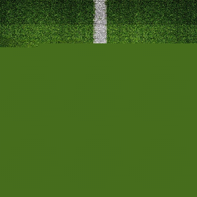 培养