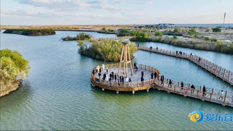 对手回合质 对手回合质